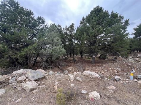 1915 Lone Pine Way Crestone CO 81131