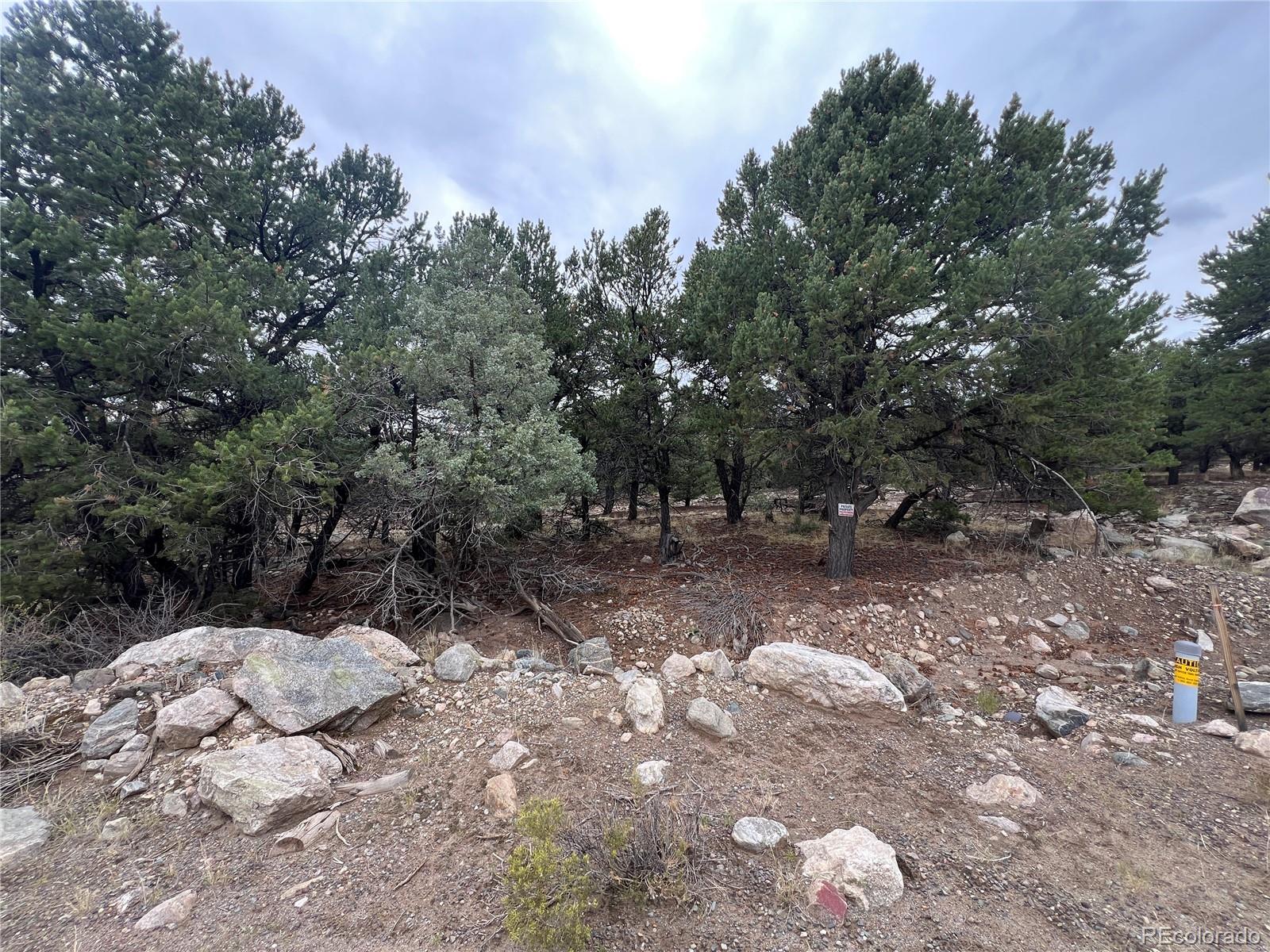 1915 Lone Pine Way Crestone CO 81131