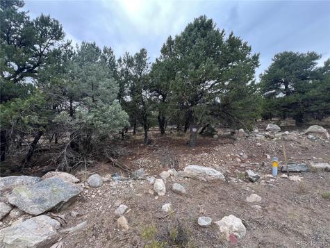1915 Lone Pine Way Crestone CO 81131