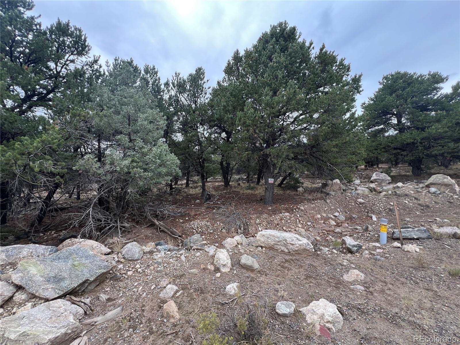 1915 Lone Pine Way Crestone CO 81131