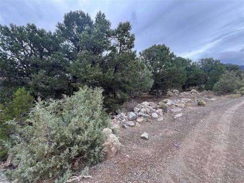 1915 Lone Pine Way Crestone CO 81131
