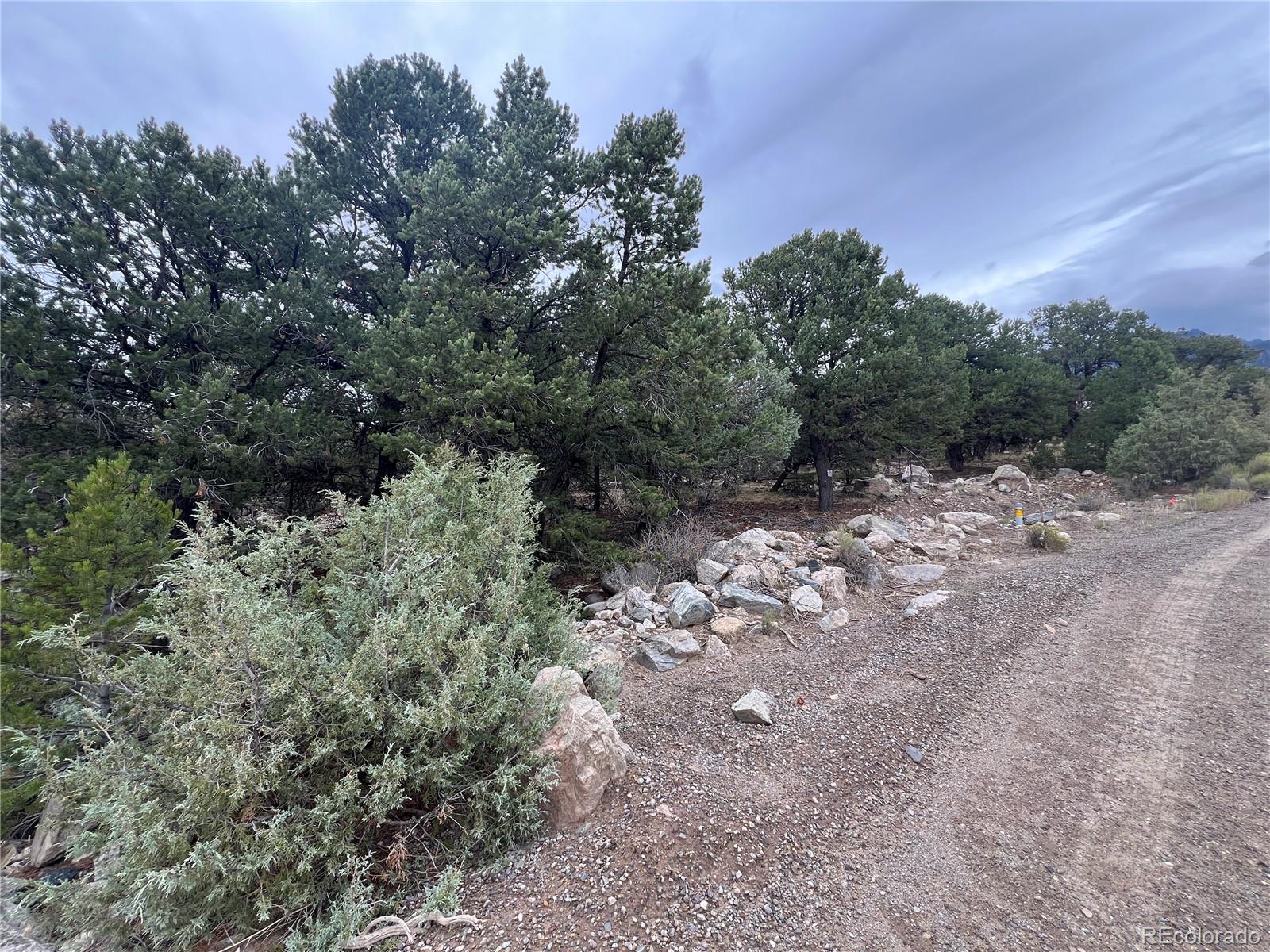 1915 Lone Pine Way Crestone CO 81131
