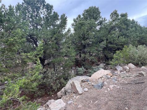 1915 Lone Pine Way Crestone CO 81131