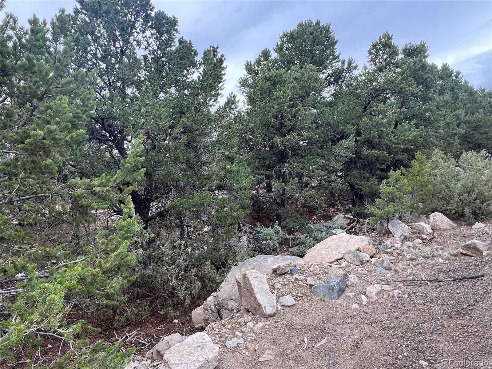 1915 Lone Pine Way Crestone CO 81131