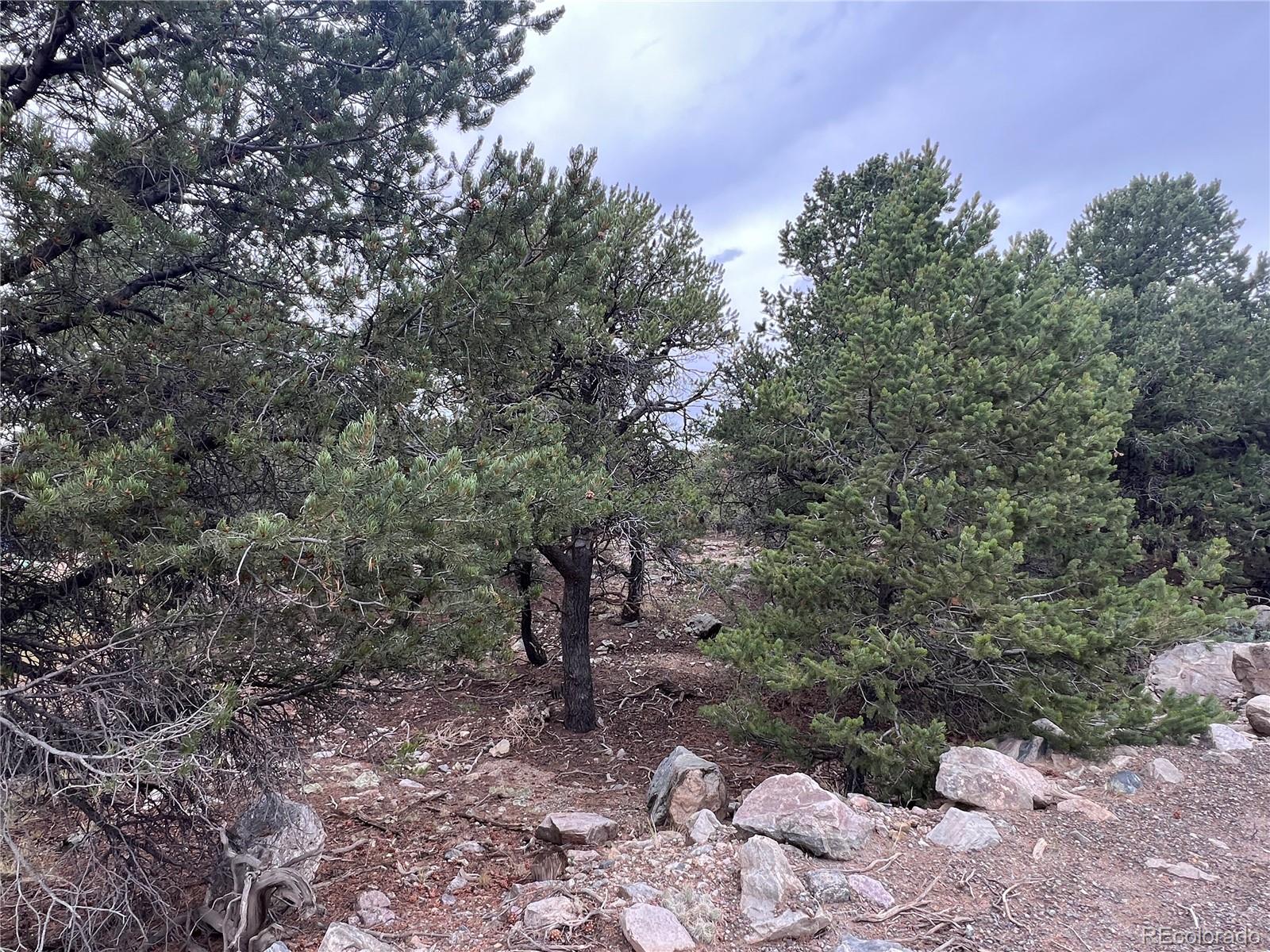 1915 Lone Pine Way Crestone CO 81131
