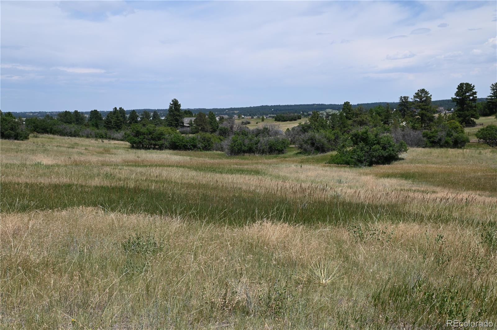 1579 Deerpath Road Franktown CO 80116