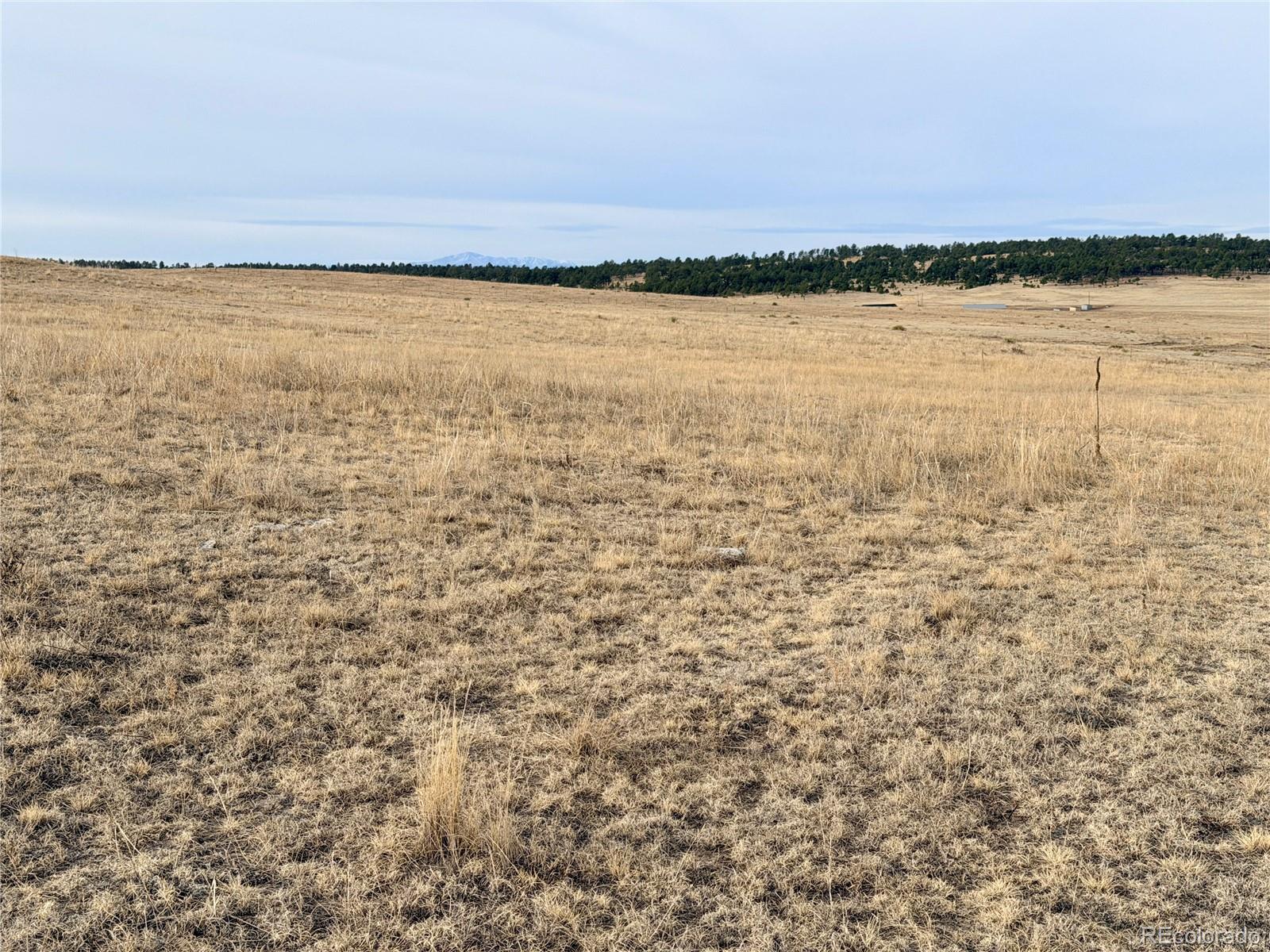 01 County Road 122 Ramah CO 80832