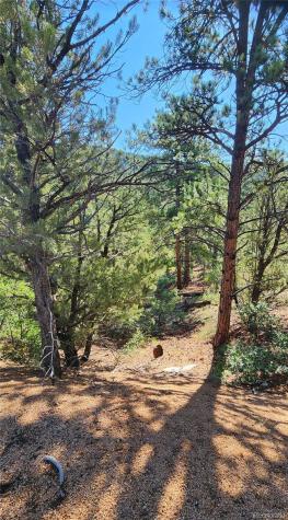 Tbd L 43rd Trail Cotopaxi CO 81223