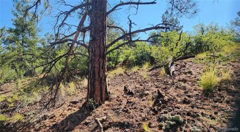 Tbd L 43rd Trail Cotopaxi CO 81223