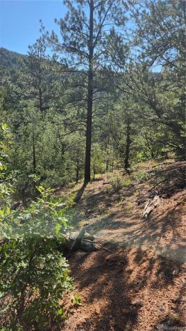 Tbd L 43rd Trail Cotopaxi CO 81223