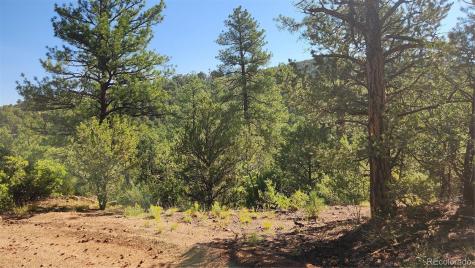 Tbd L 43rd Trail Cotopaxi CO 81223