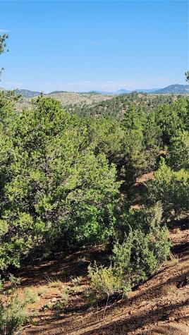 Tbd L 43rd Trail Cotopaxi CO 81223