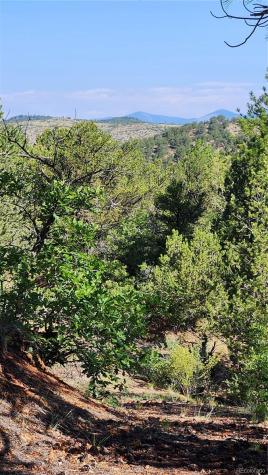 Tbd L 43rd Trail Cotopaxi CO 81223