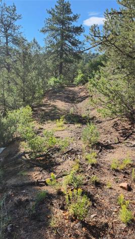 Tbd L 43rd Trail Cotopaxi CO 81223