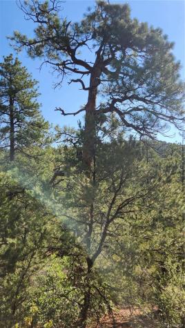 Tbd L 43rd Trail Cotopaxi CO 81223