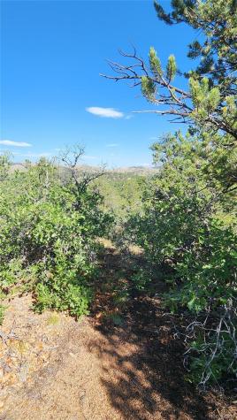Tbd L 43rd Trail Cotopaxi CO 81223