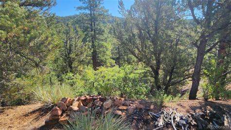 Tbd L 43rd Trail Cotopaxi CO 81223