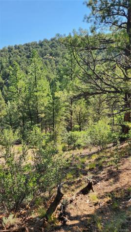 Tbd L 43rd Trail Cotopaxi CO 81223