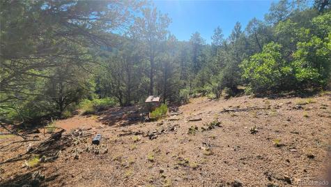 Tbd L 43rd Trail Cotopaxi CO 81223