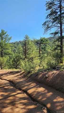 Tbd L 43rd Trail Cotopaxi CO 81223