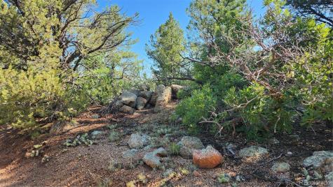 Tbd L 43rd Trail Cotopaxi CO 81223