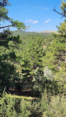 Tbd L 43rd Trail Cotopaxi CO 81223