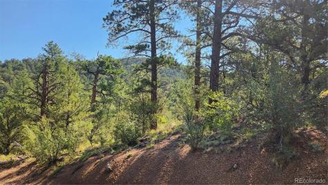 Tbd L 43rd Trail Cotopaxi CO 81223