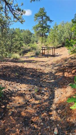 Tbd L 43rd Trail Cotopaxi CO 81223