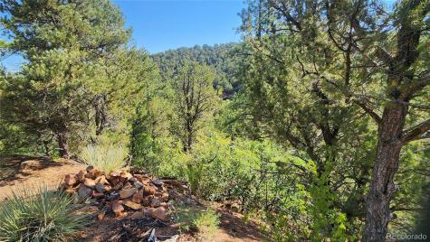 Tbd L 43rd Trail Cotopaxi CO 81223