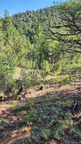 Tbd L 43rd Trail Cotopaxi CO 81223