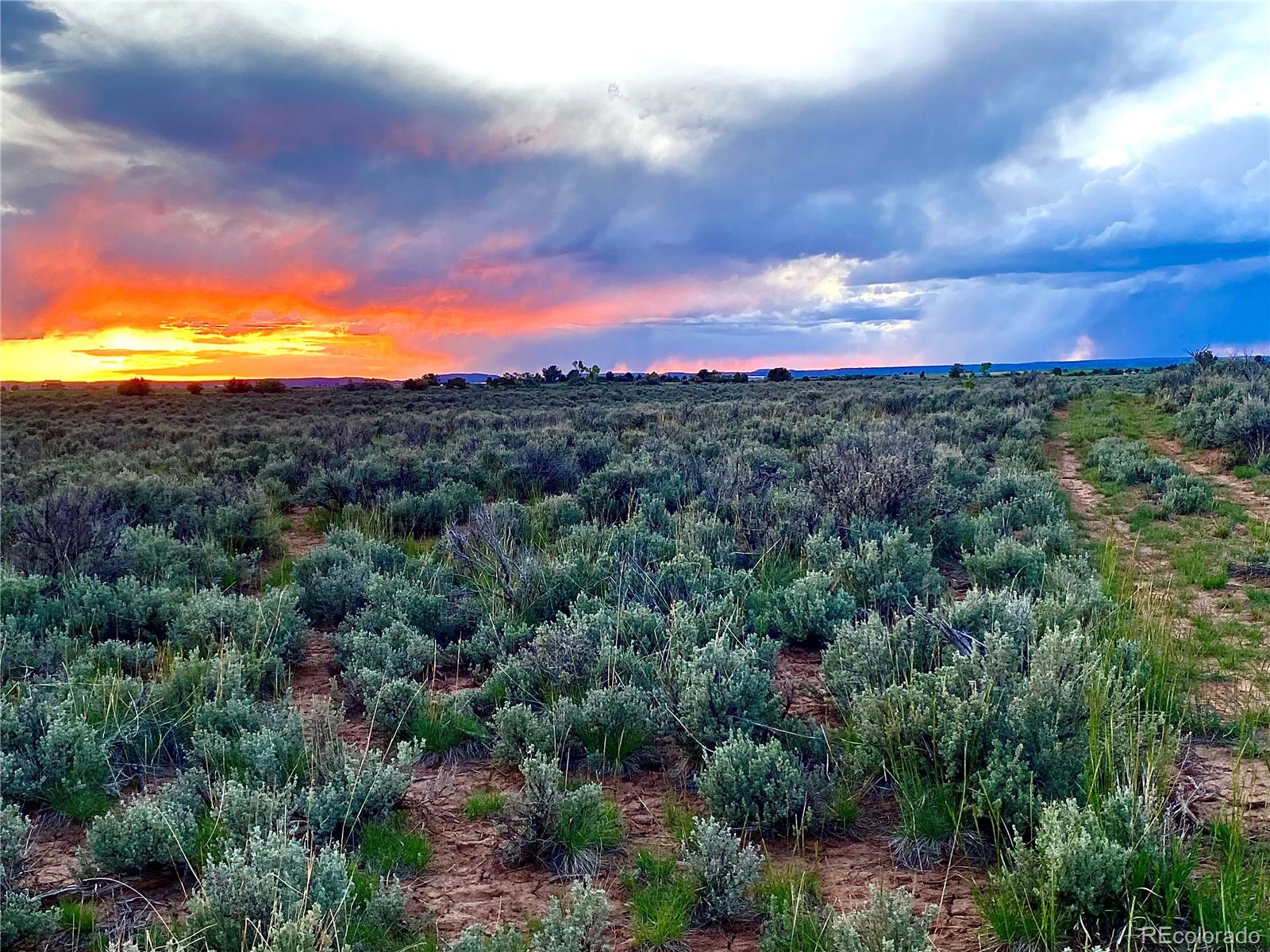 2907 County Road 128 Hesperus CO 81326