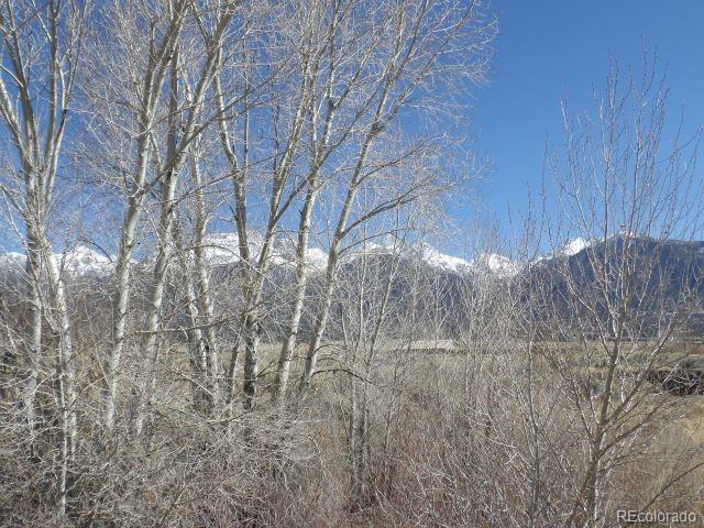 530 Camino Del Rey Crestone CO 81131