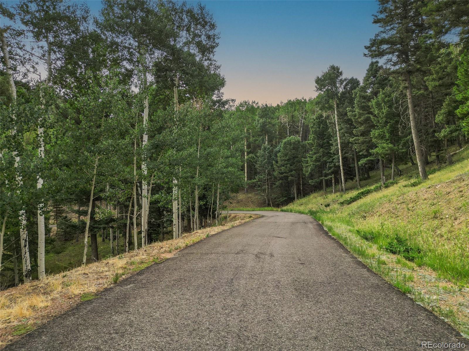 26543 Richmond Hill Road Conifer CO 80433