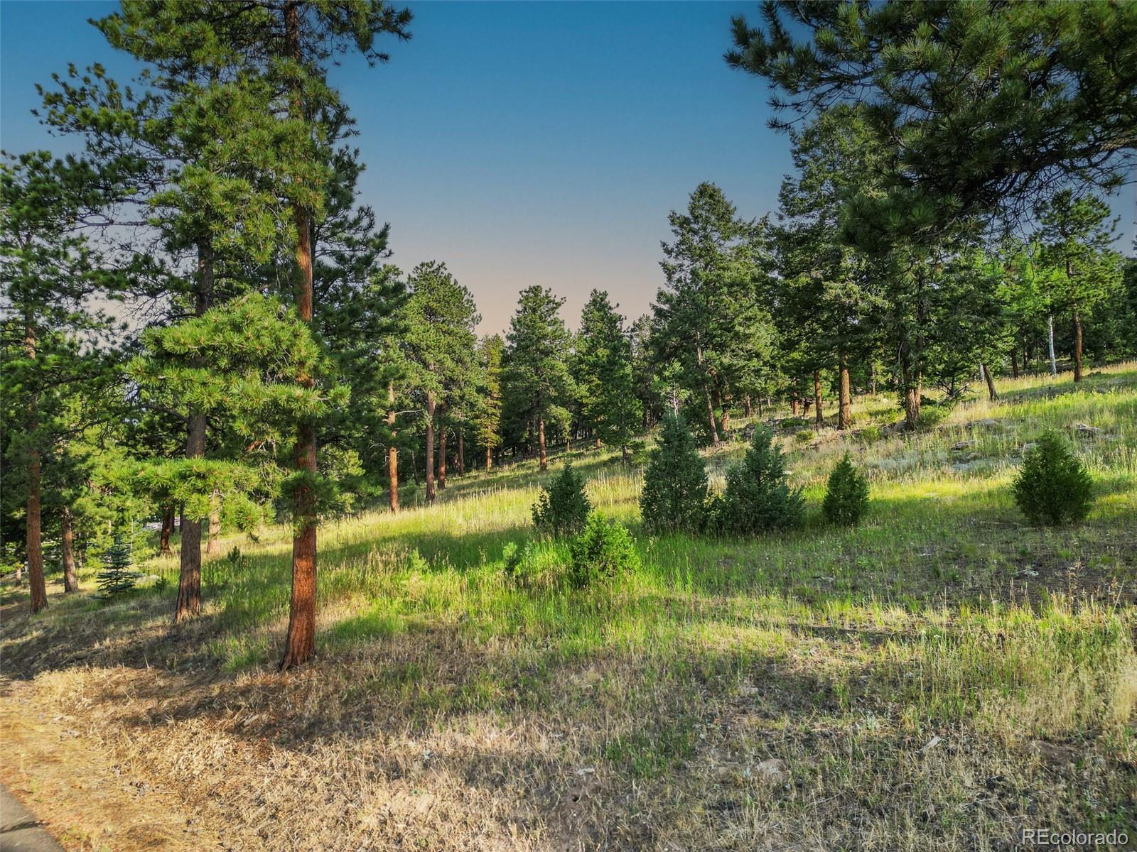 26543 Richmond Hill Road Conifer CO 80433