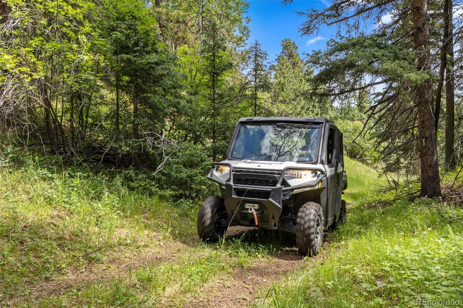 26543 Richmond Hill Road Conifer CO 80433