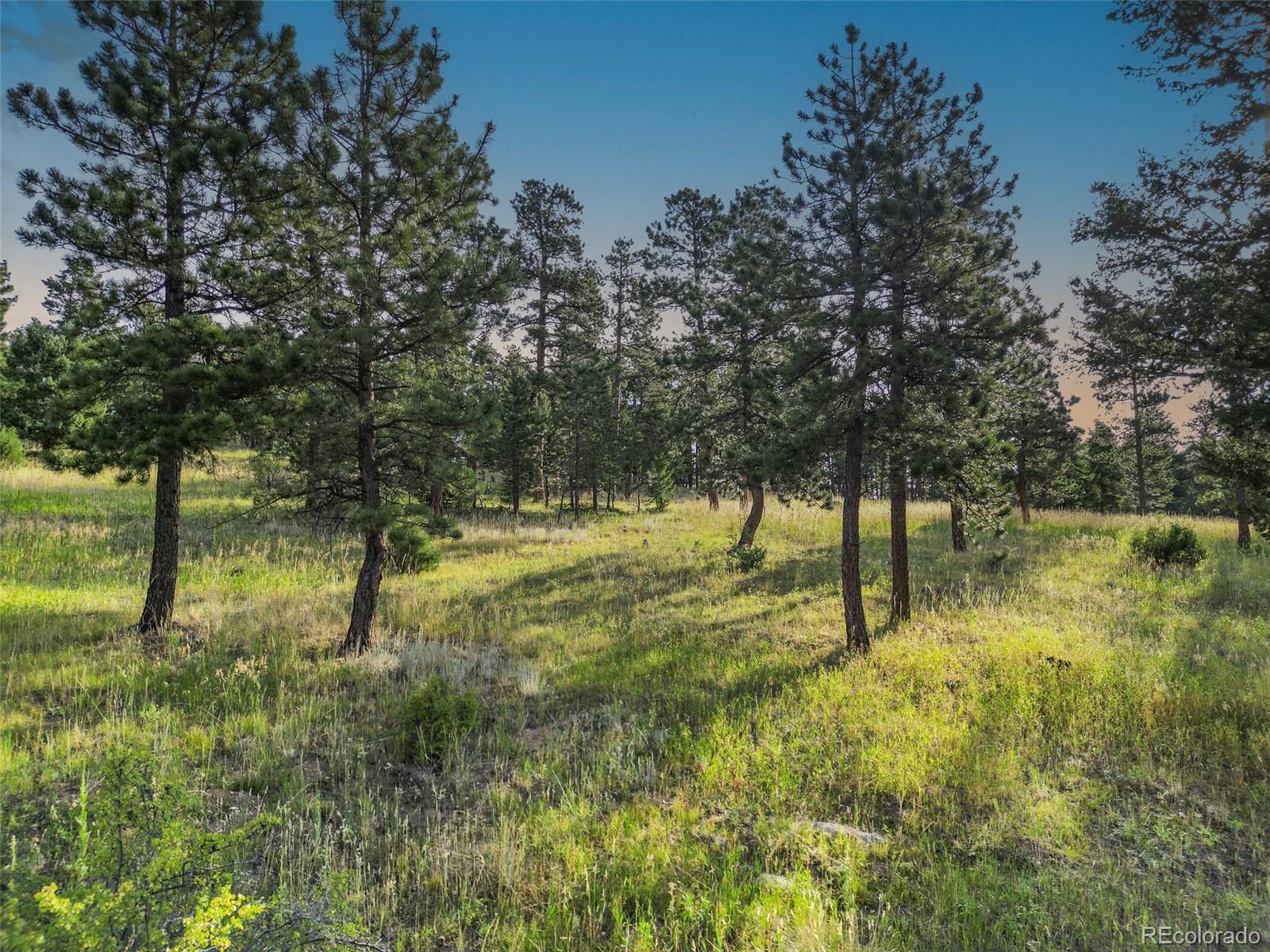 26543 Richmond Hill Road Conifer CO 80433