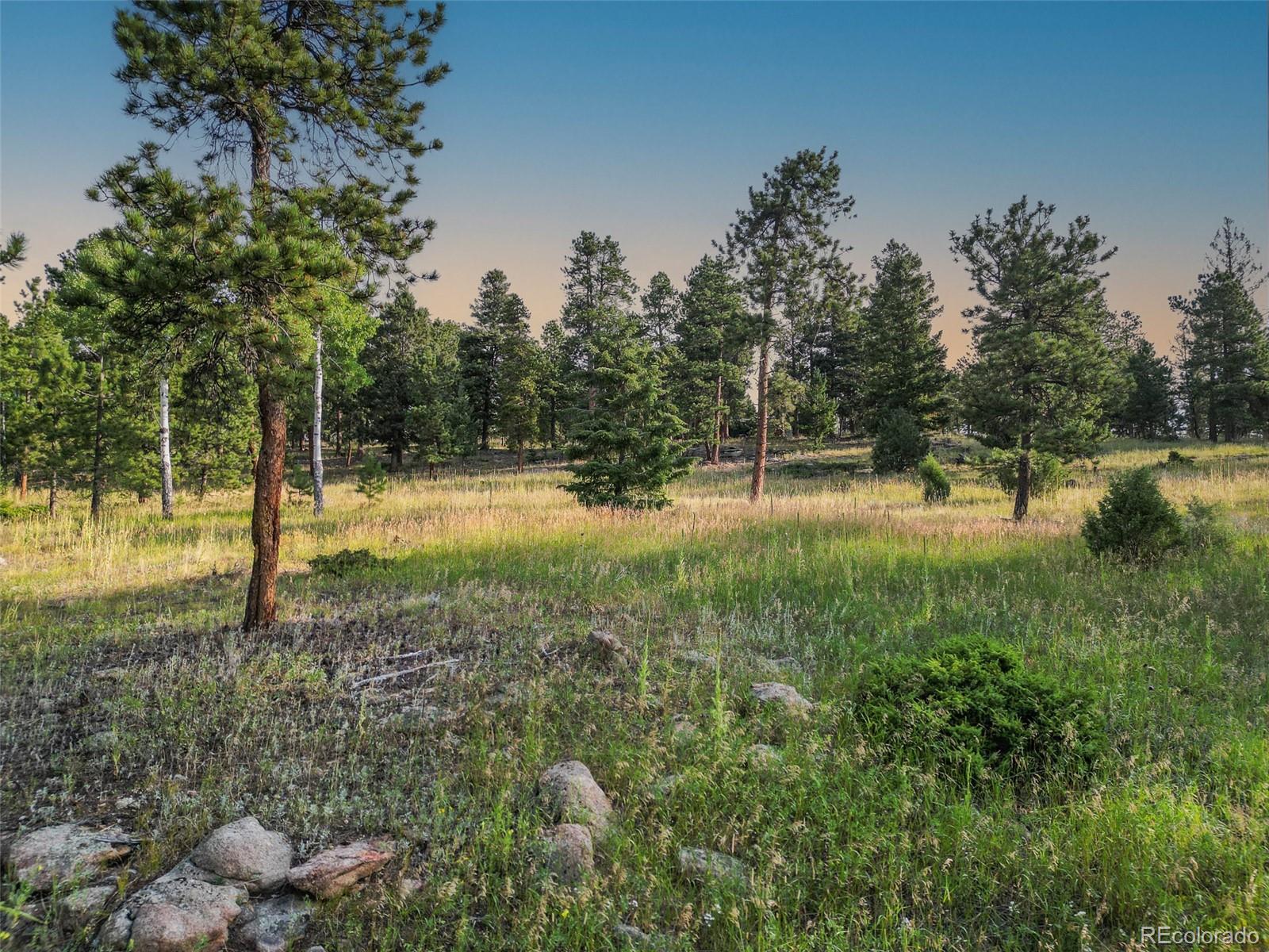 26543 Richmond Hill Road Conifer CO 80433
