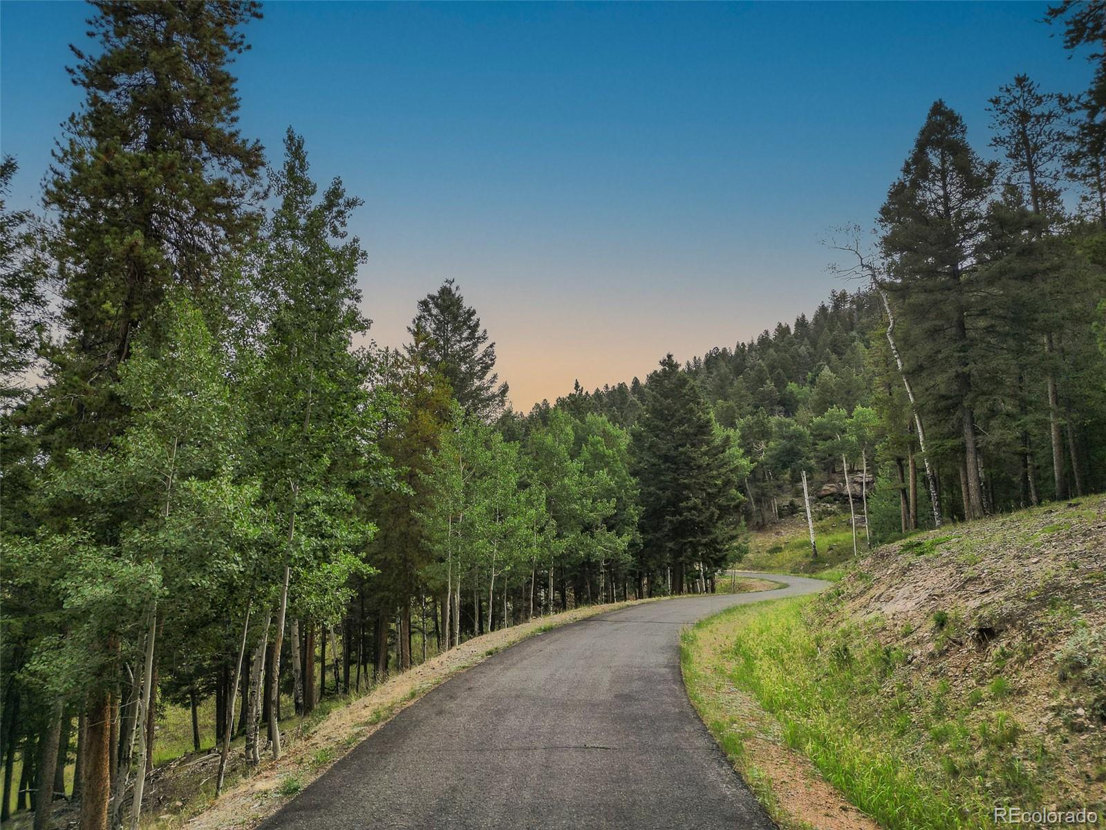 26543 Richmond Hill Road Conifer CO 80433