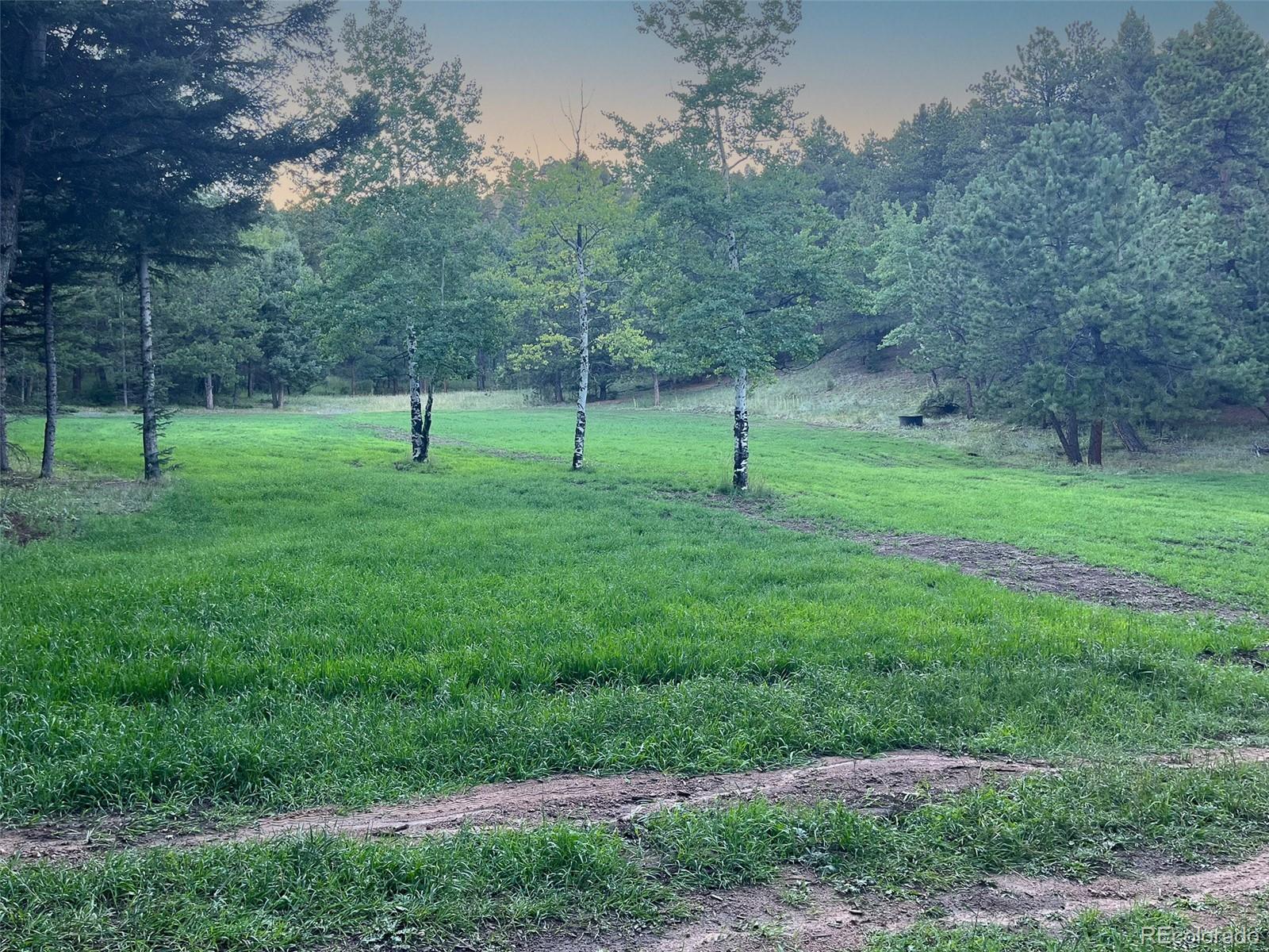 26543 Richmond Hill Road Conifer CO 80433