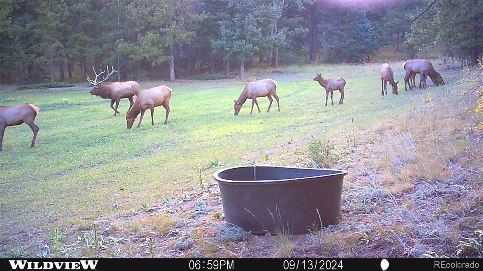 26543 Richmond Hill Road Conifer CO 80433