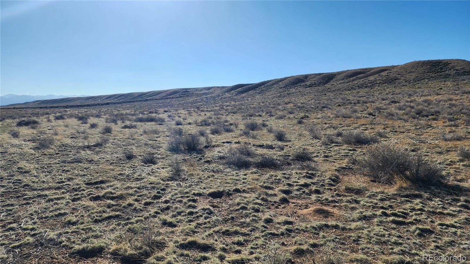 Lot 44 Collins Court San Luis CO 81152
