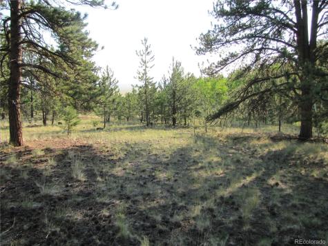 9736 Ranch Road Hartsel CO 80449
