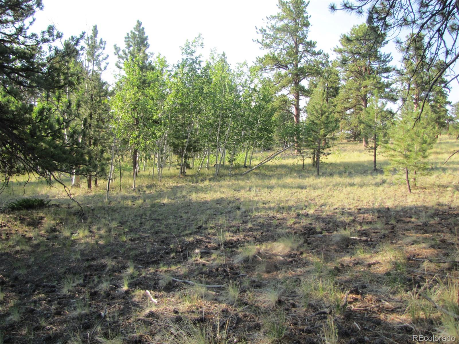 9736 Ranch Road Hartsel CO 80449