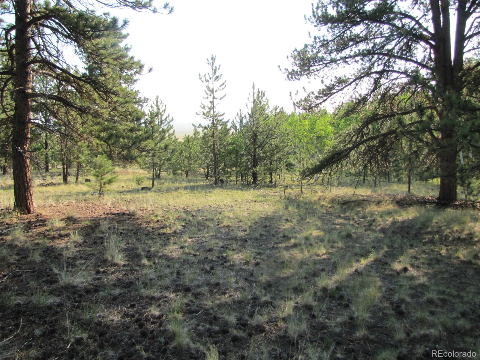 9736 Ranch Road Hartsel CO 80449