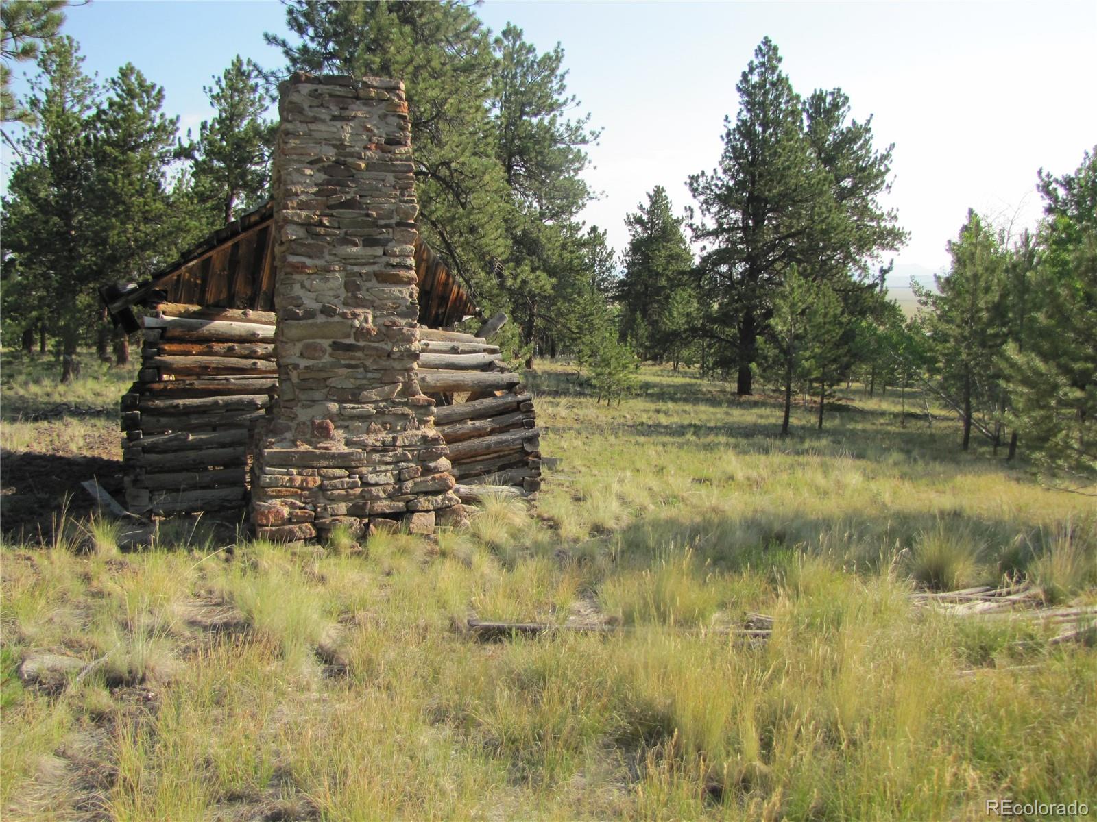 9736 Ranch Road Hartsel CO 80449