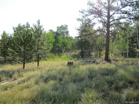 9736 Ranch Road Hartsel CO 80449
