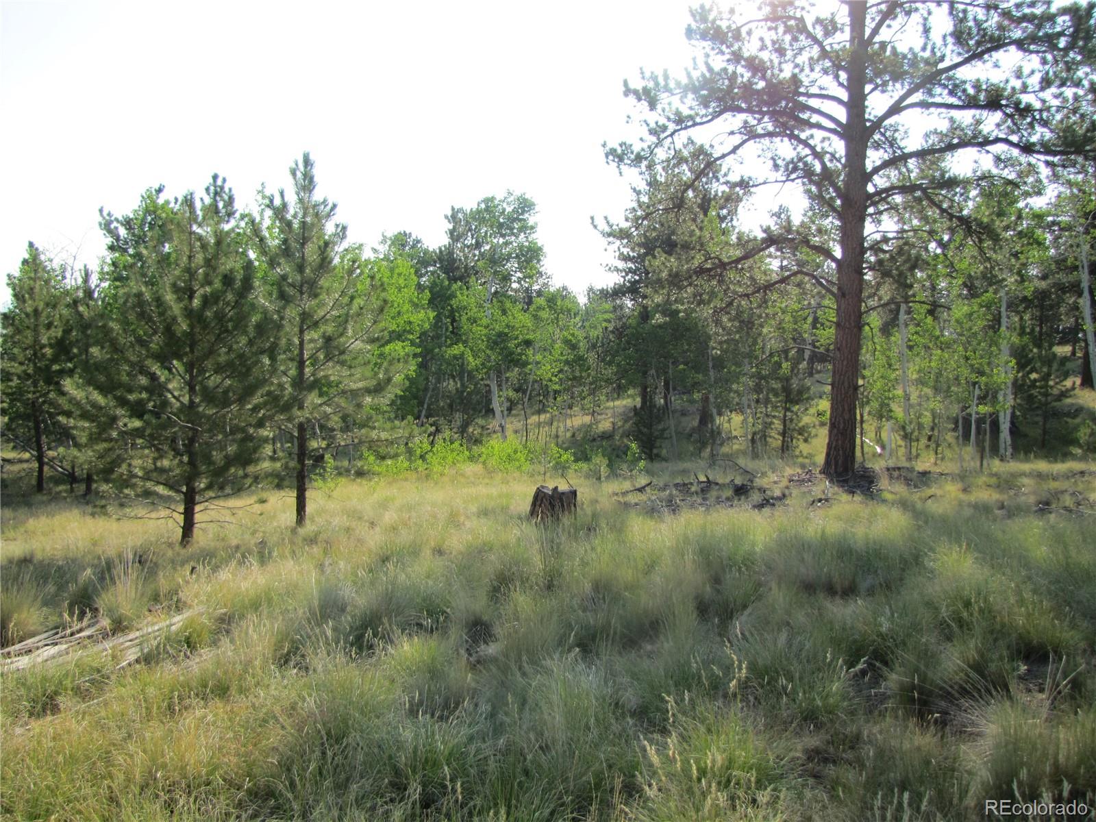 9736 Ranch Road Hartsel CO 80449