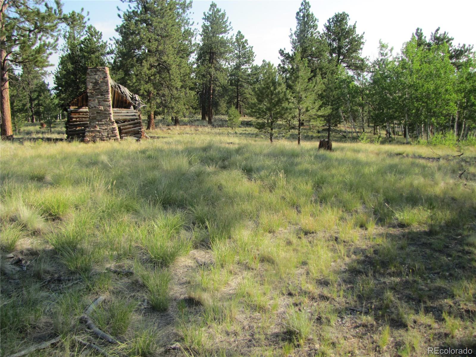 9736 Ranch Road Hartsel CO 80449