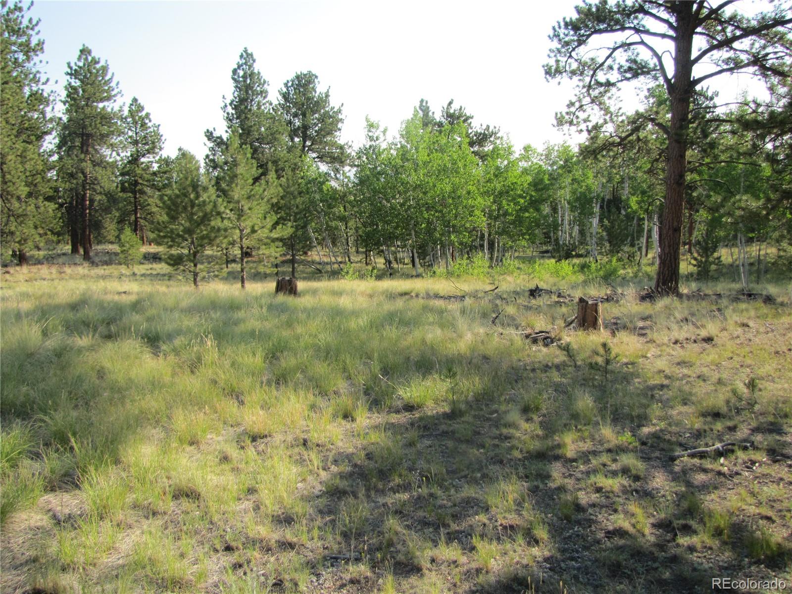 9736 Ranch Road Hartsel CO 80449