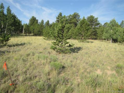 9736 Ranch Road Hartsel CO 80449